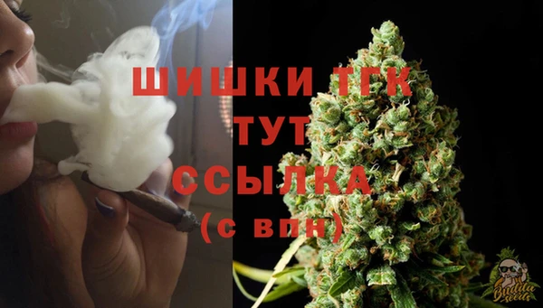 твердый Верея